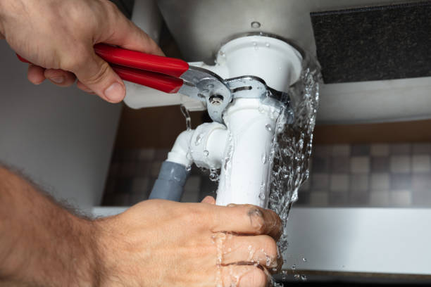 Best Water damage contractors near me  in New Brockton, AL