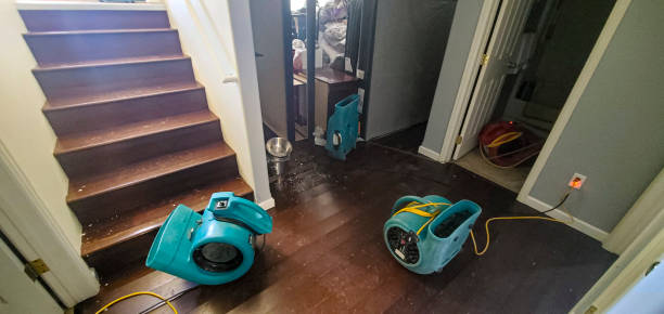 Best Residential water damage restoration  in New Brockton, AL