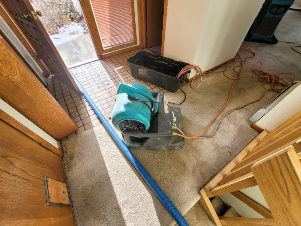 Carpet water damage restoration in AL