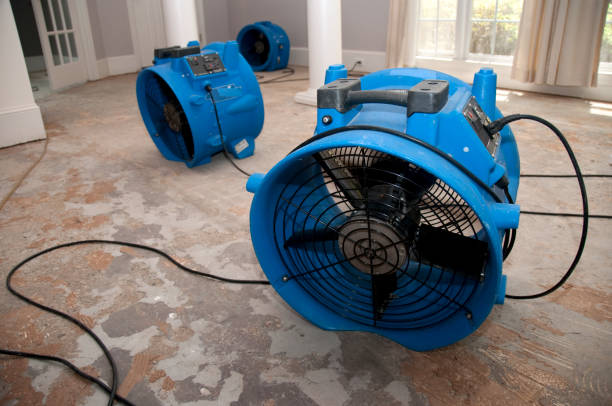 Fire Damage Restoration in AL