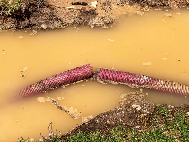 Best 24/7 water damage repair  in New Brockton, AL